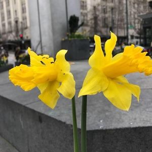 Meet your Posher, Rocio